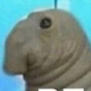 Meet your Posher, Thomas